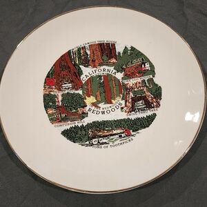 Vintage 1970s CALIFORNIA REDWOODS plate